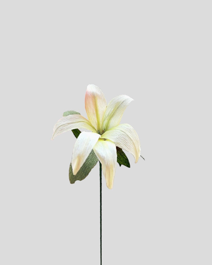 Easter Lily by the Stem (Paper)