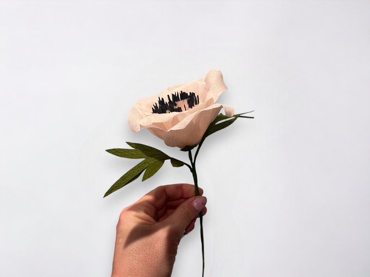 a person holding a flower in their hand
