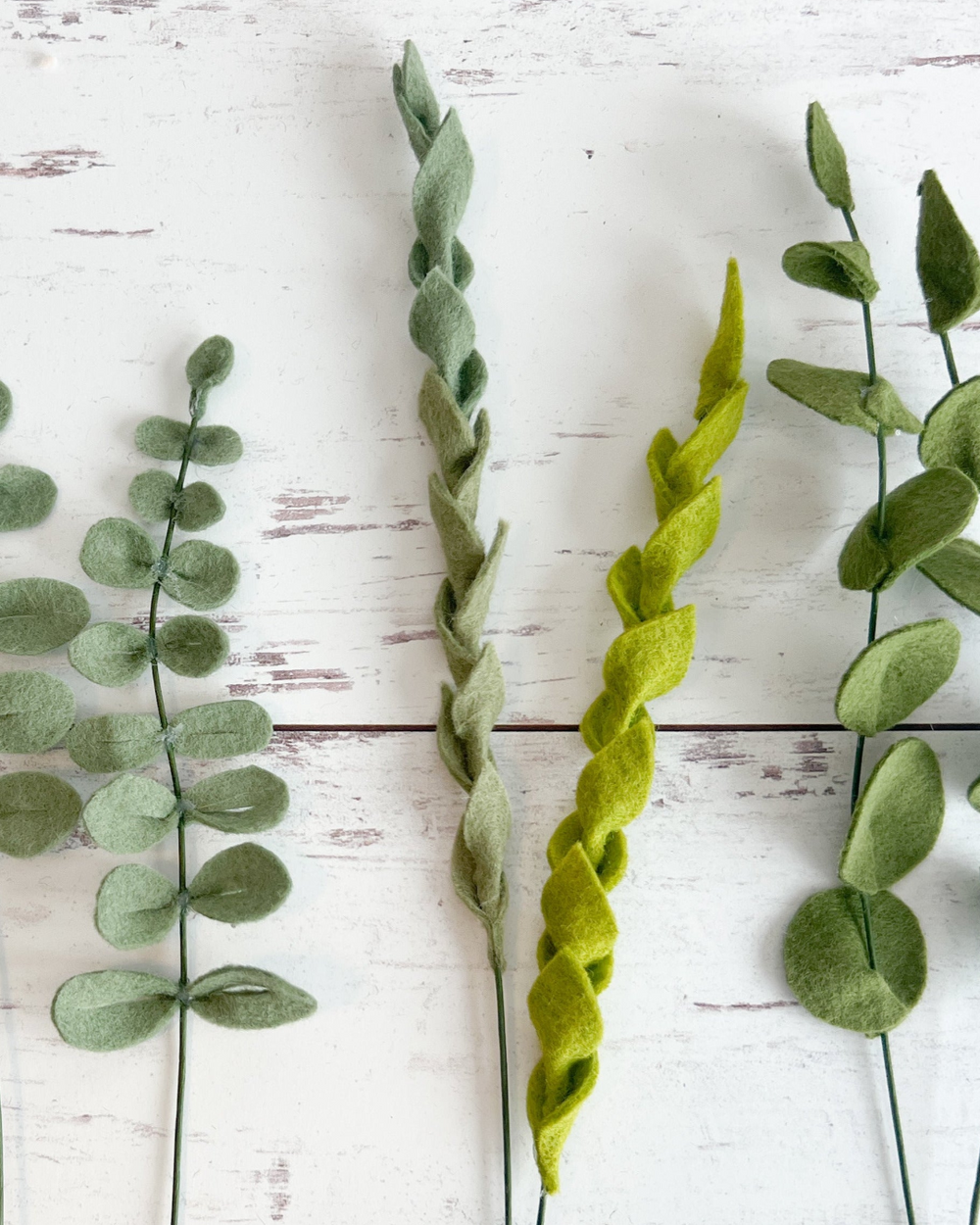 three different types of plants on a white wooden surface