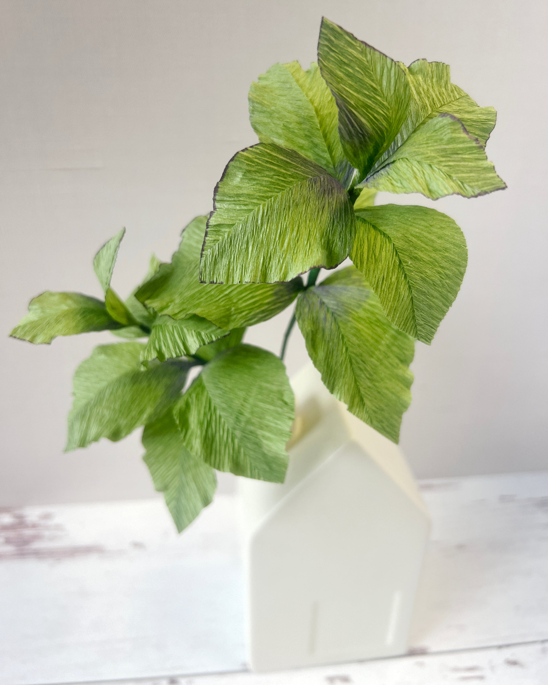 a white vase with a green plant in it