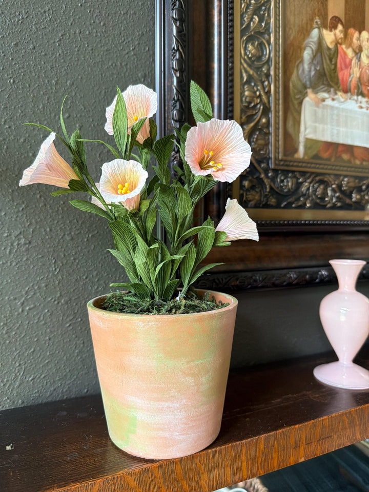 Blush Bells