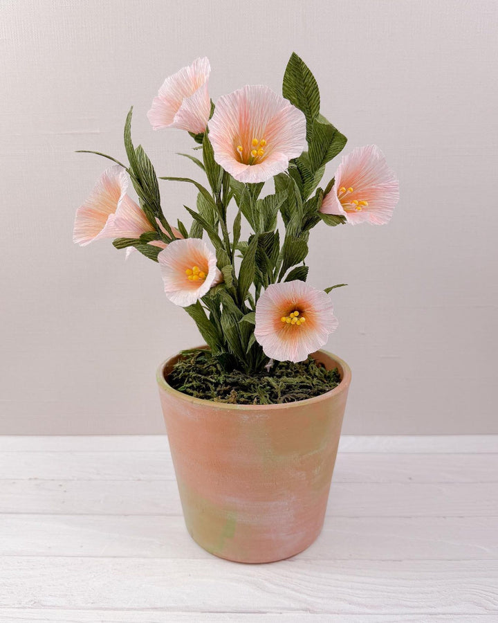 Blush Bells