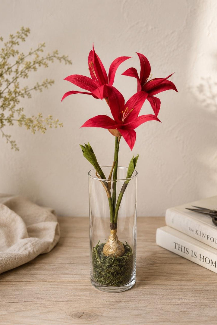 Amaryllis in Glass Vase with Moss