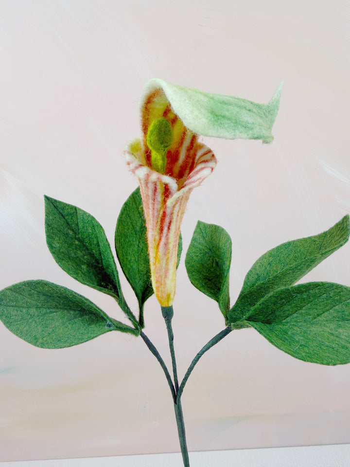 A single artificial Jack in the Pulpit with green leaves and a pale green, yellow, and reddish striped spatula, shown against a plain light background.