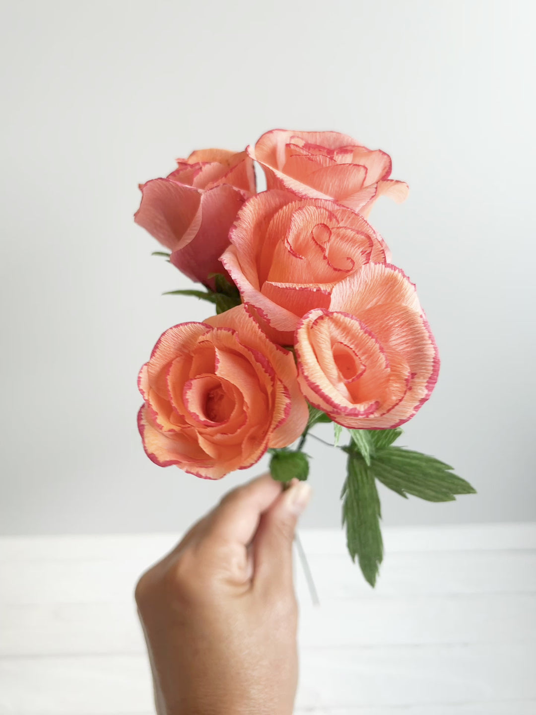 Pink Lemonade Roses 5 Pack